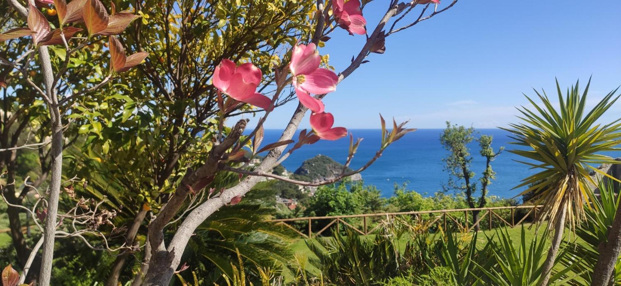 Il Giardino Sull'Isola - Appartamento - Bergeggi Exterior foto