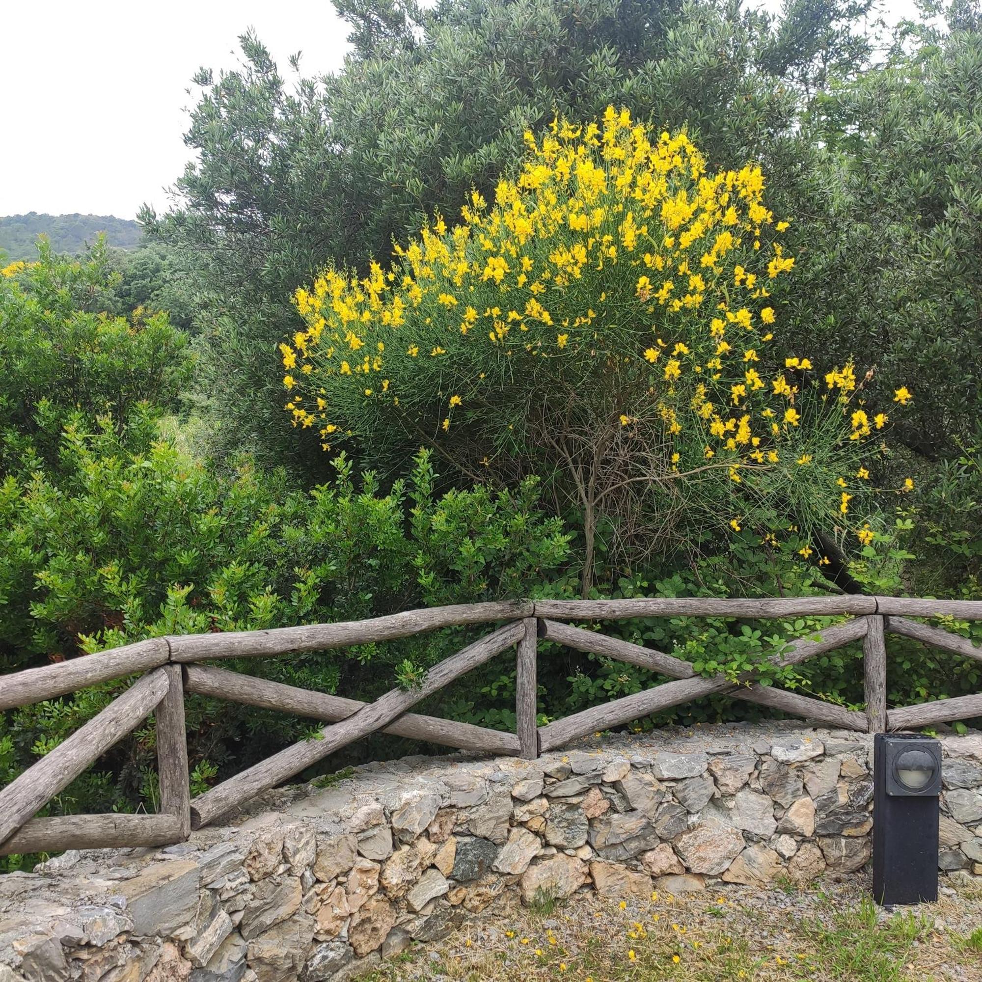 Il Giardino Sull'Isola - Appartamento - Bergeggi Exterior foto